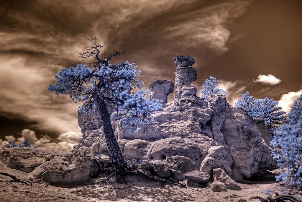 Graphic art silk screen printing projects portfolio showcase