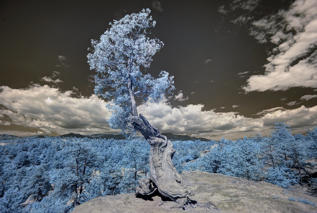 Metal fabrication and silk screen manufacturing process